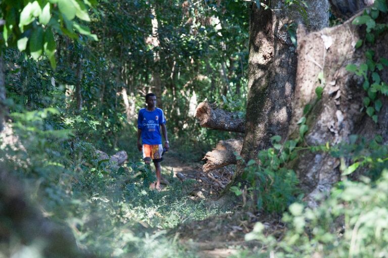 Makirun trail nosy komba 2018_4